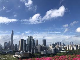 尋味一把掛面 圖9