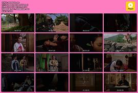 恣女木 圖1