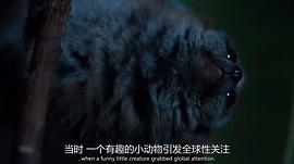 超萌動物 圖8