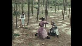 琥珀青龍 圖10