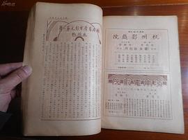 歌女紅牡丹 圖4