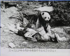 《熊猫回家路》电影 图7