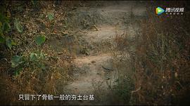 從秦始皇到漢武帝 圖2