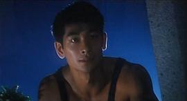 麻雀飛龍 圖5
