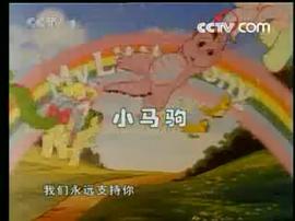 小馬駒 圖5