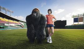 韩国大猩猩打棒球电影名字 图1