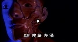 人體骨骼模型 圖2