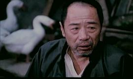月月 圖2