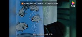 鯊魚俠 圖2