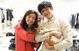 最完美的離婚 圖1