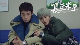 夏至未至 圖2
