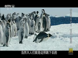 帝企鹅日记2免费观看国语版 图1