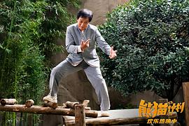 熊猫计划 图3