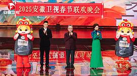 2025年安徽卫视春节联欢晚会 图8