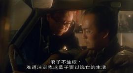 1986版英雄故事国语在线观看 图2