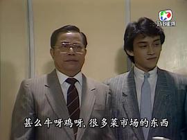 80年代的香港电视剧大全集 图4