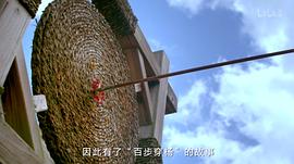 歷史那些事兒觀后感700 圖8