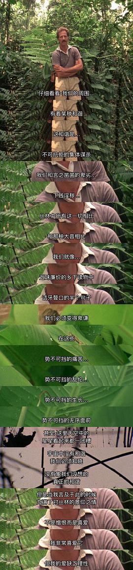 電影夢(mèng) 圖8