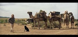 沙漠鸵鸟电影免费观看 图1