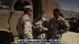 駱駝蜘蛛最怕三個(gè)東西 圖1