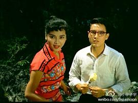 金美人 圖2