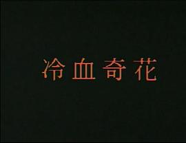 峨嵋飞剑侠 电影 图6