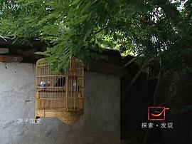 庚子國變 圖8