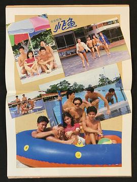 小飛魚 圖2