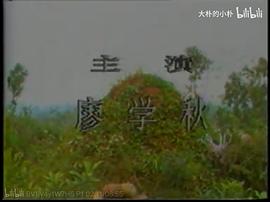 潘金蓮新傳 圖9