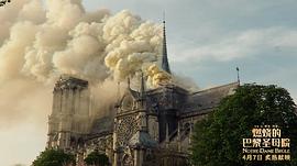 巴黎圣母院被烧 图10