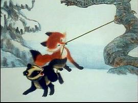 雪狐 圖10