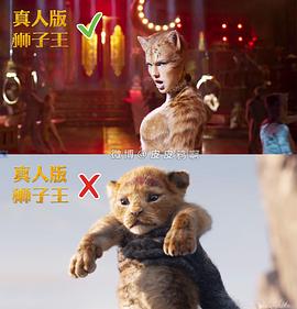 电影猫会在中国上映吗 图8