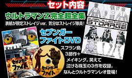 賽文加格斗 圖7