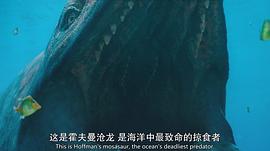 史前星球 第一季 圖6