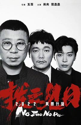 掃黑決不放棄 豆瓣 圖5