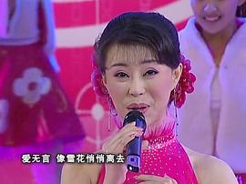 2002年中央电视台舂联欢晚会 图4