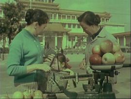 小鈴鐺 圖9