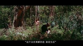 狂人皮埃羅 圖9