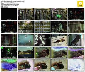 The Canaries 圖2