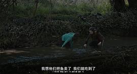 科洛 圖7