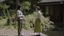 森林民宿 图2