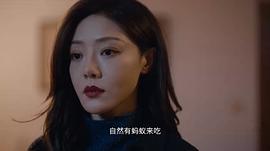1—36集电视剧黑土热血免费 图7