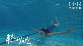 來處是歸途 圖7