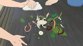 狼的孩子雨和雪 圖9