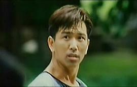 千火玫瑰 圖4