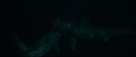 电影鲨海逃生免费版 图2