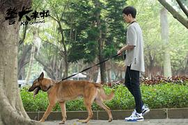 警犬來啦 圖3