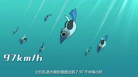 摩登大自然 圖6