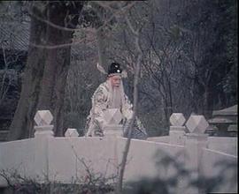 背靴訪帥 圖7