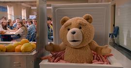 泰迪熊是什么熊 图5
